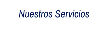 Nuestros Servicios
